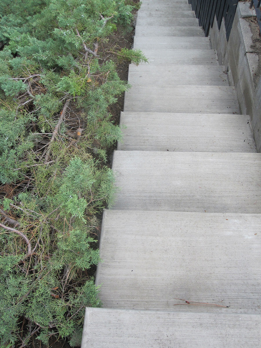 California Broom concrete finish